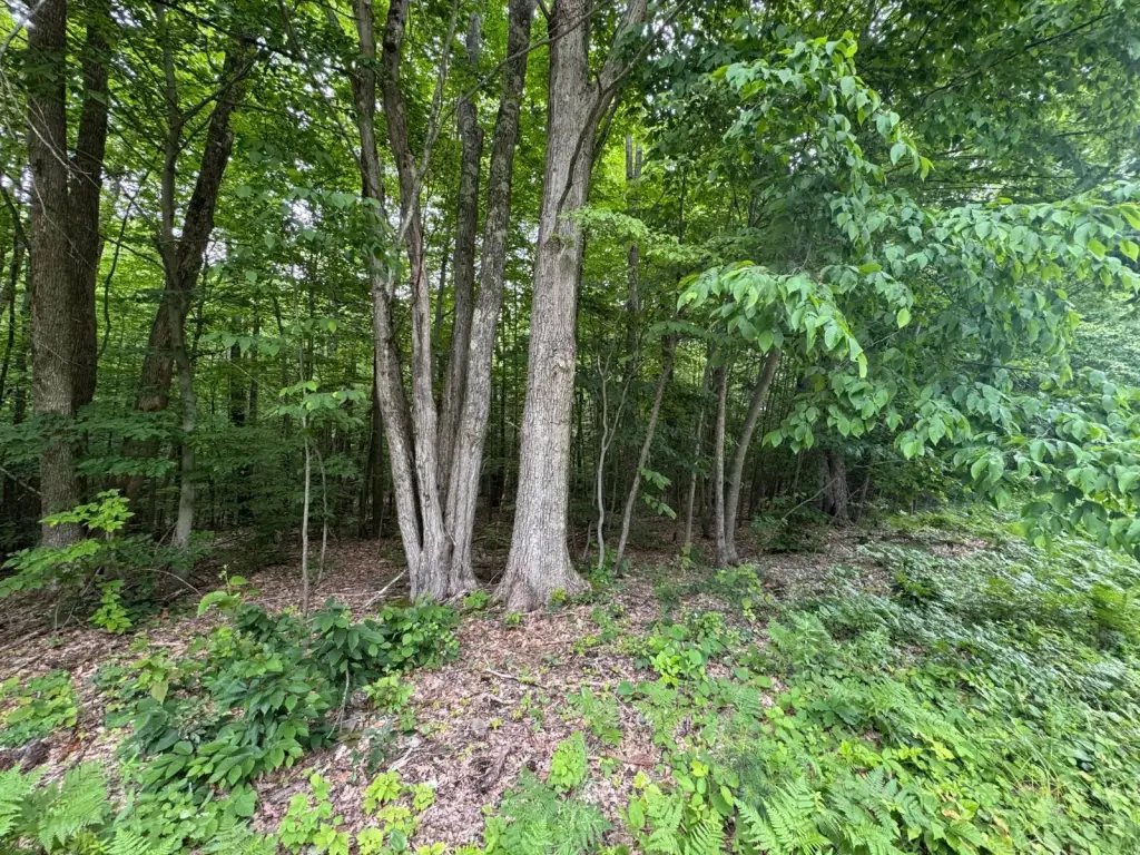 Picture 6