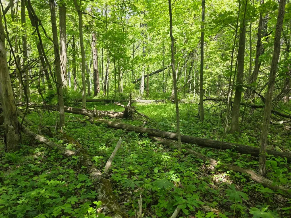 Picture 12