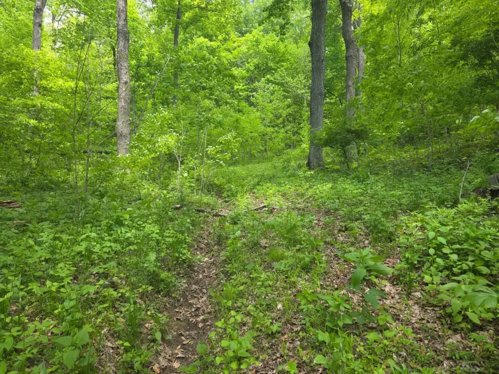 Picture 29
