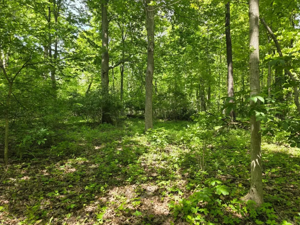 Picture 11