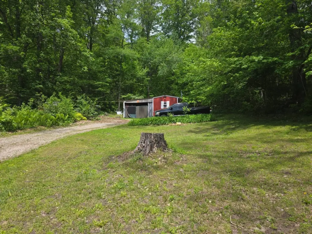 Picture 32