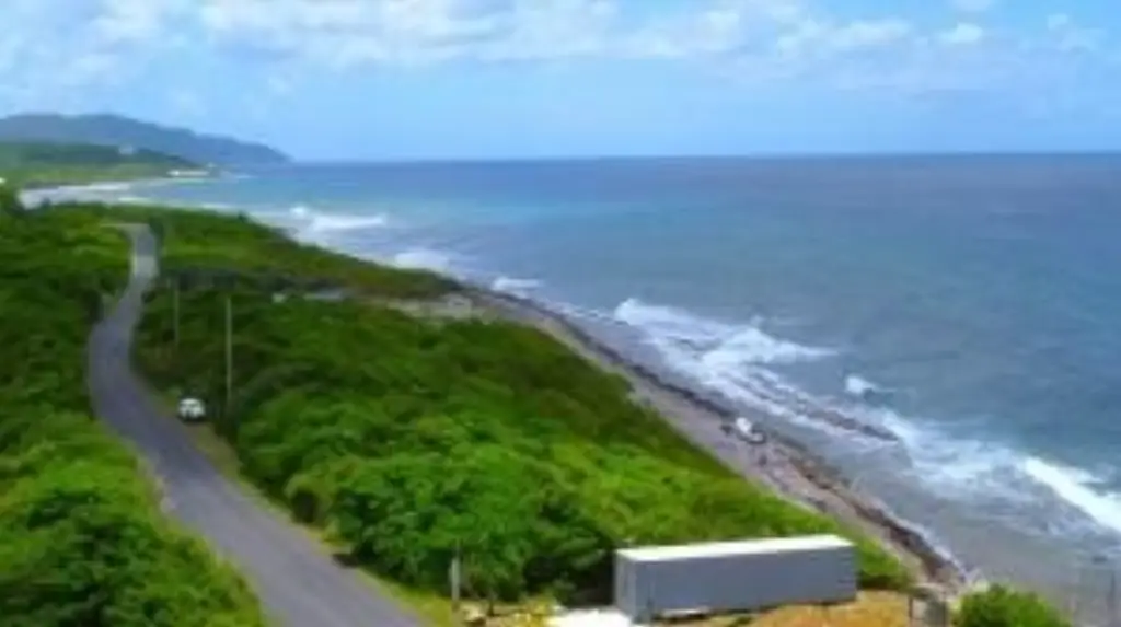 Picture 6