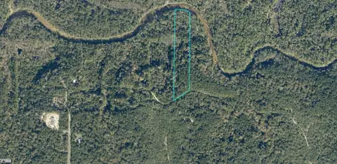 Secluded Wooded Lot Near Shoal