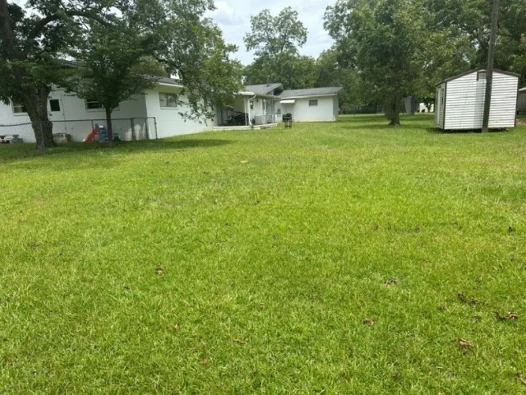 Picture 11