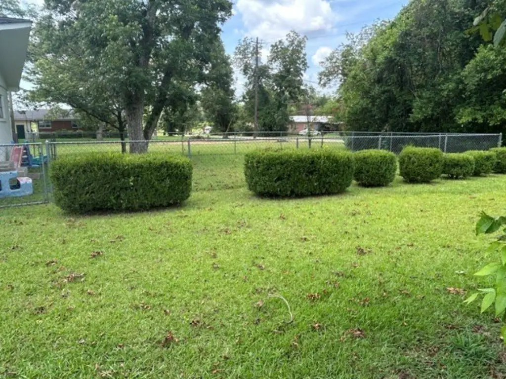 Picture 12