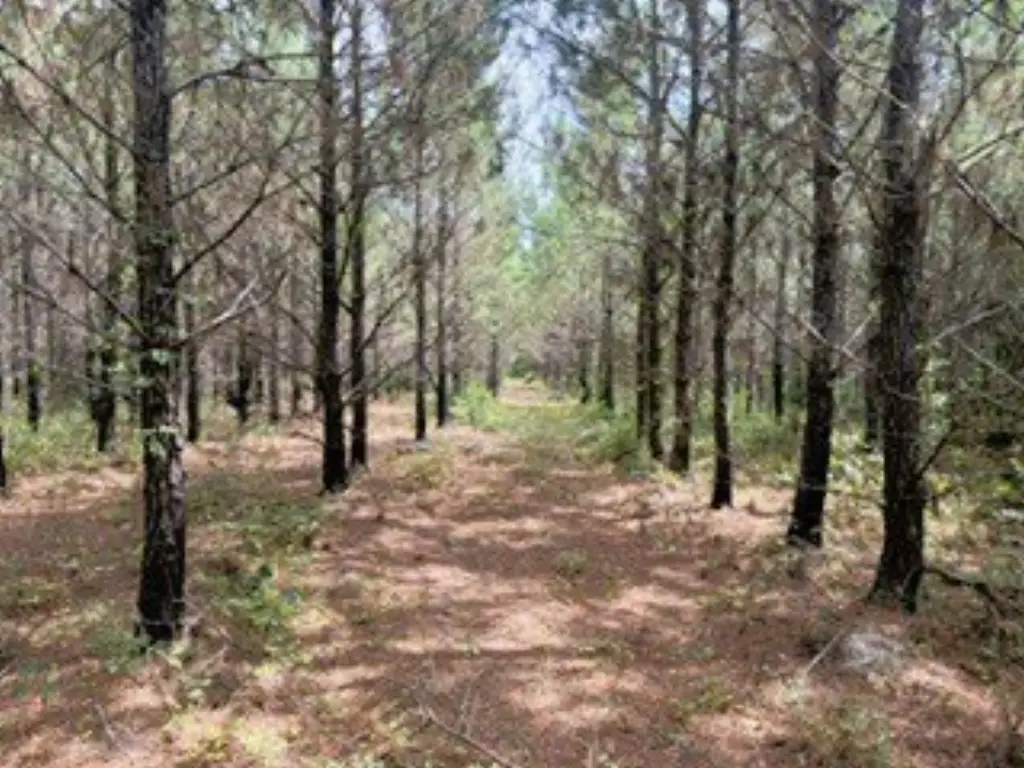 Picture 26