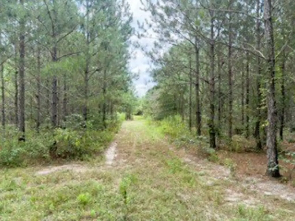 Picture 19