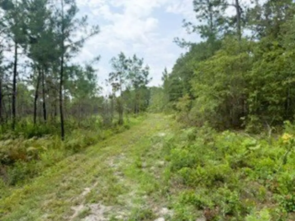 Picture 24