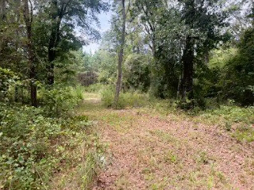Picture 27