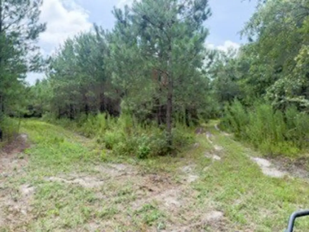 Picture 30