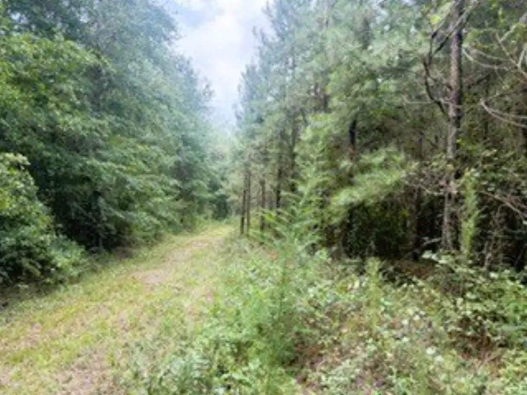 Picture 25