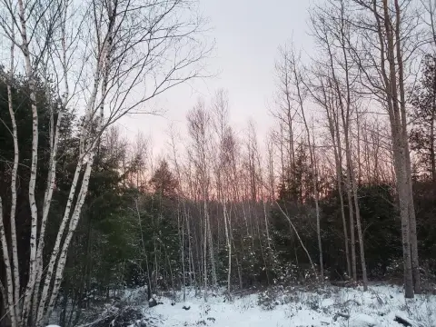 Land Near Cold Stream Pond