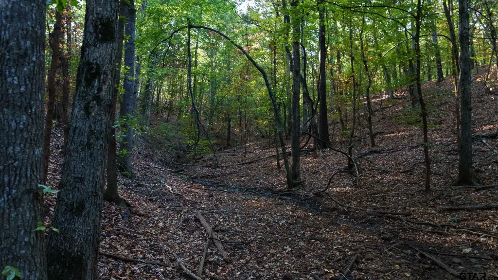 Picture 31