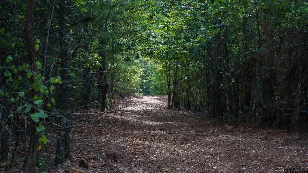Picture 43