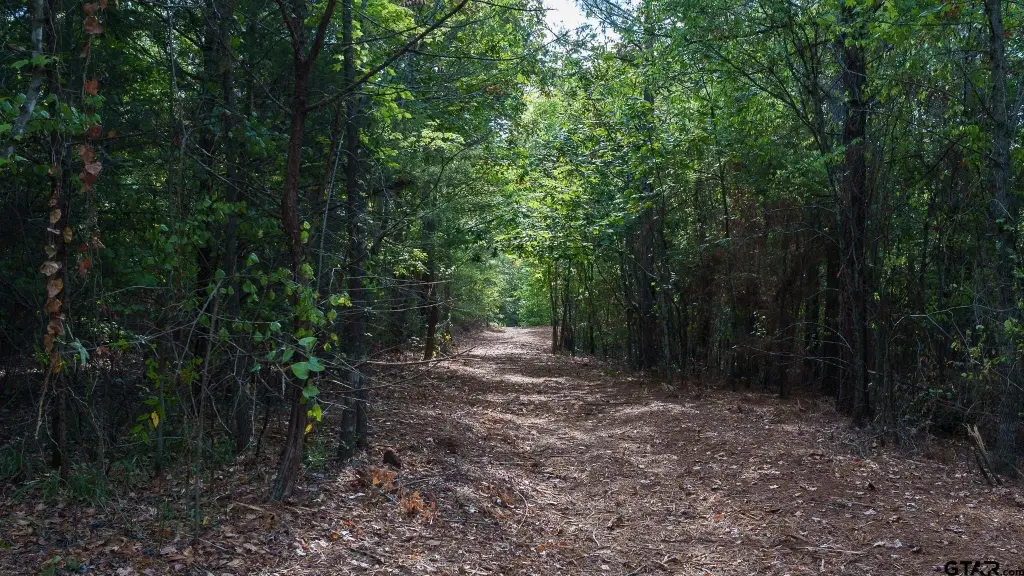Picture 42