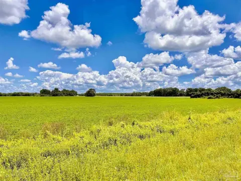 Land/Acreage in Jay, Florida