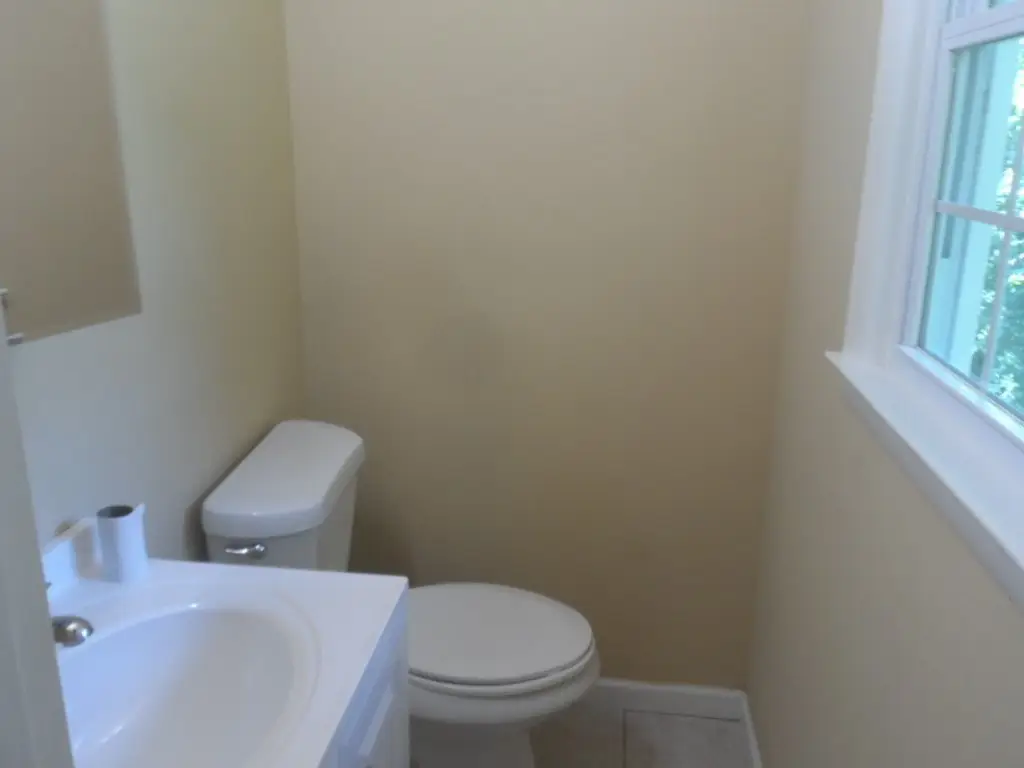 Picture 12