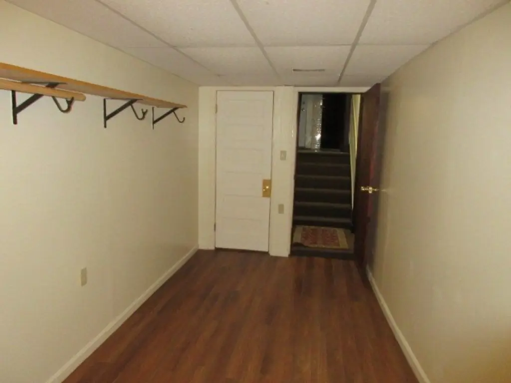 Picture 5