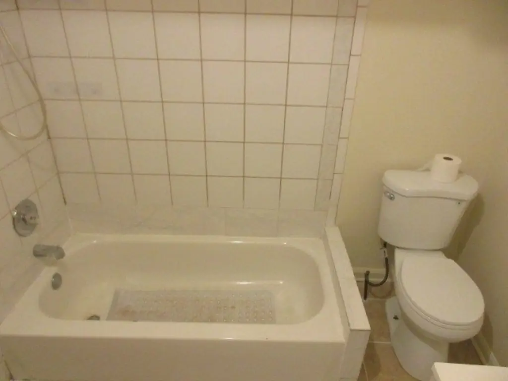 Picture 12