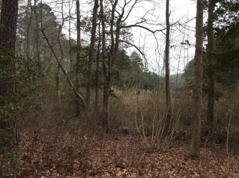 Waterfront Land in Wicomico Church