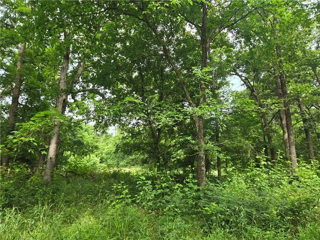 Picture 30