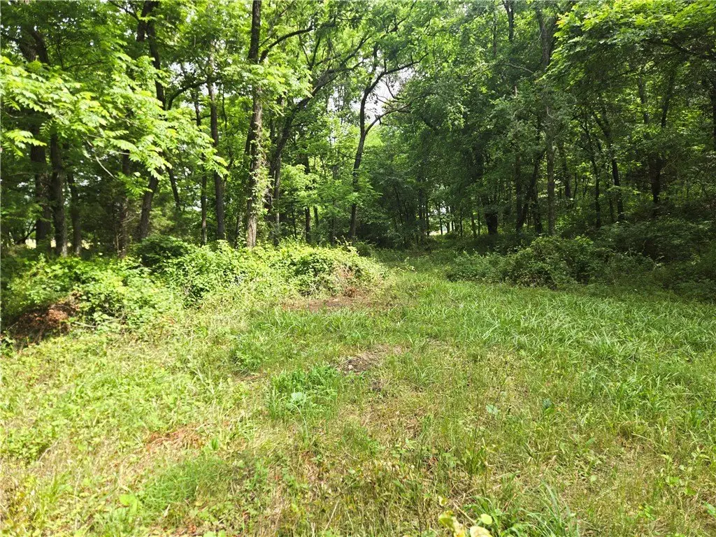 Picture 35