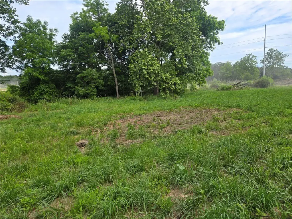 Picture 12