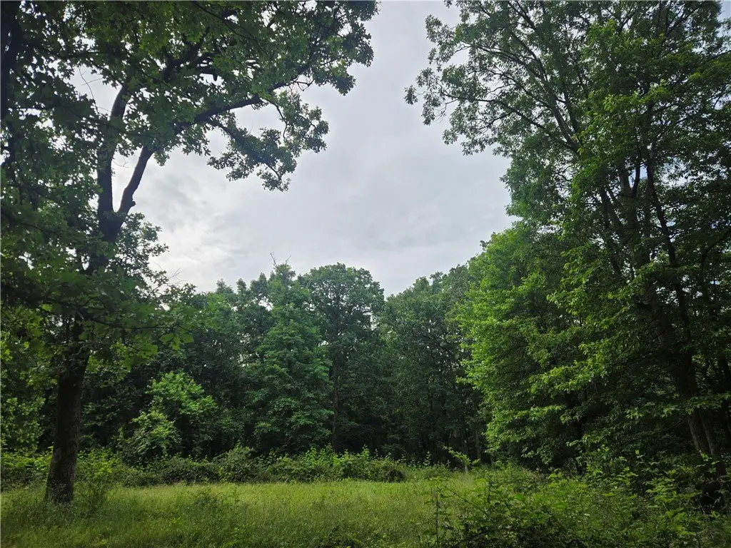 Picture 25