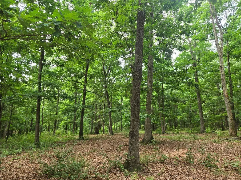 Picture 21
