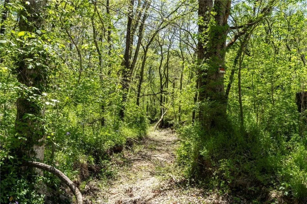 Picture 17