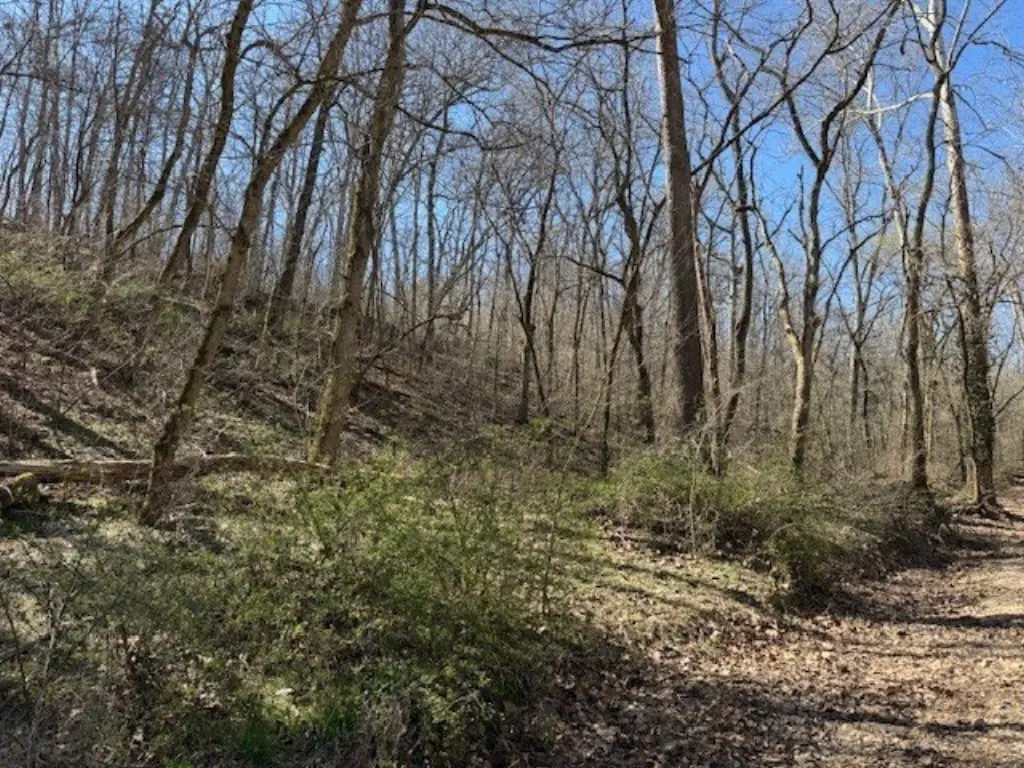 Picture 24