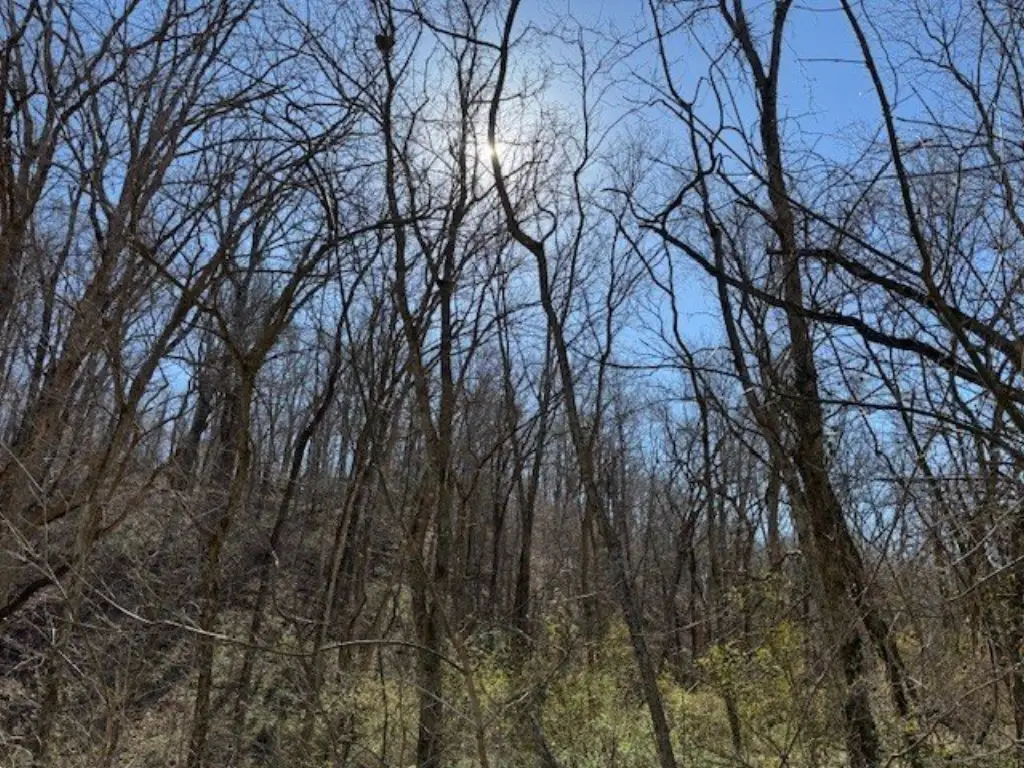 Picture 23