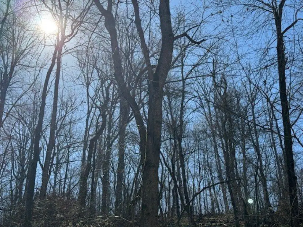 Picture 27