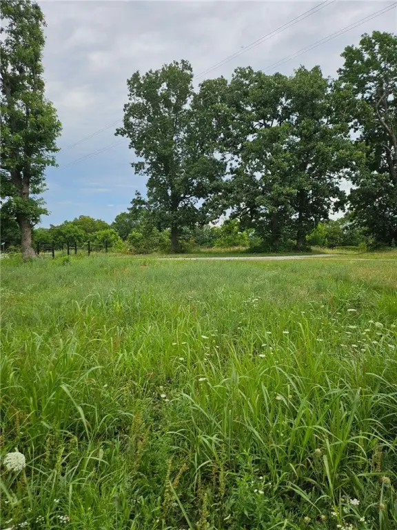 Picture 6