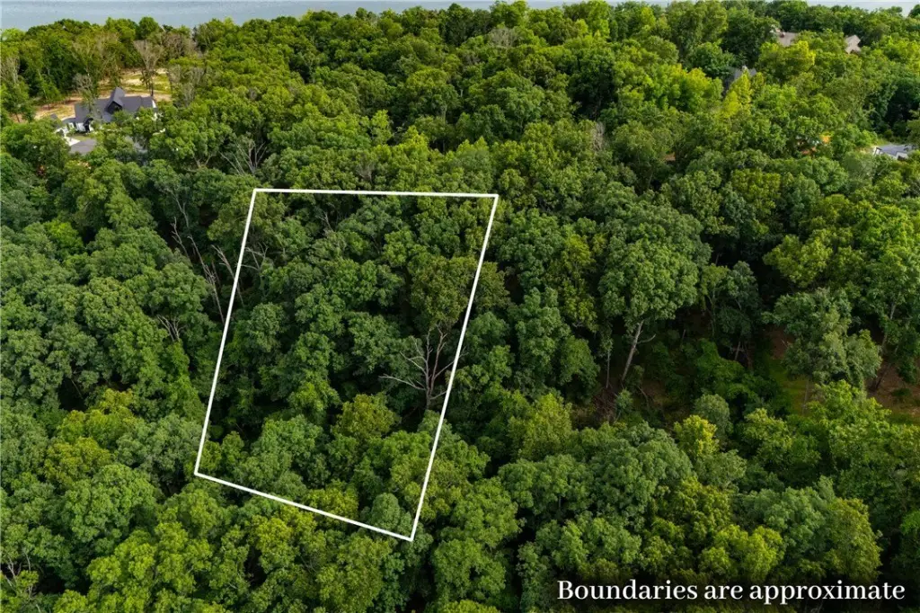 Picture 13
