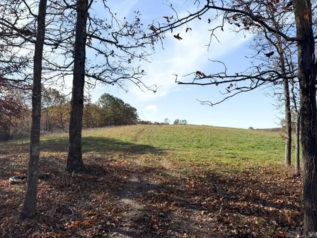 Picture 24