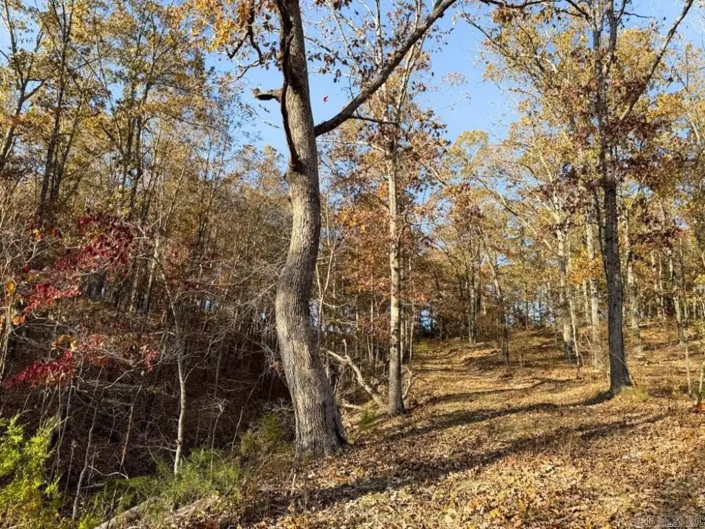 Picture 41