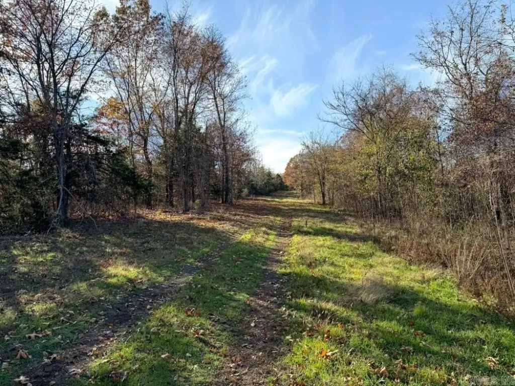 Picture 22