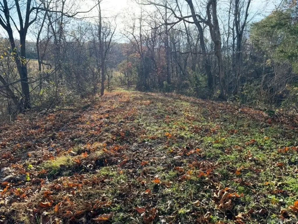 Picture 37