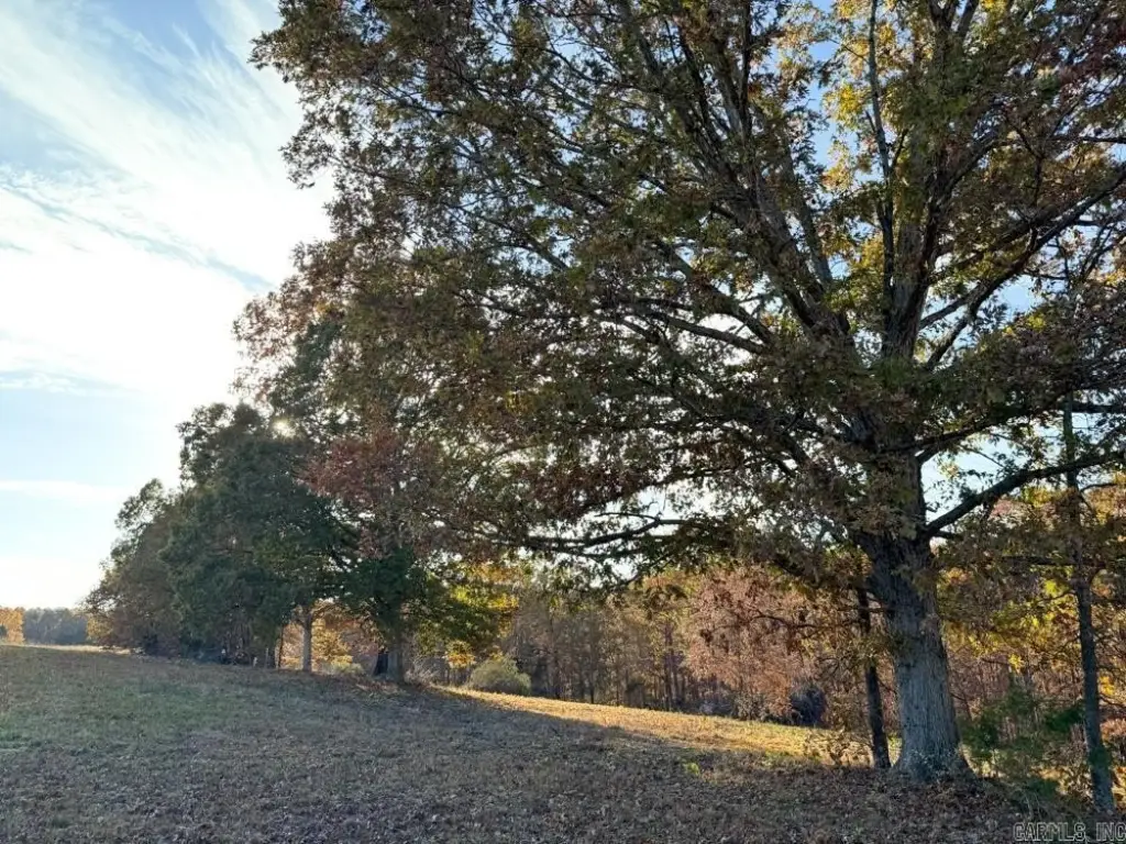 Picture 49