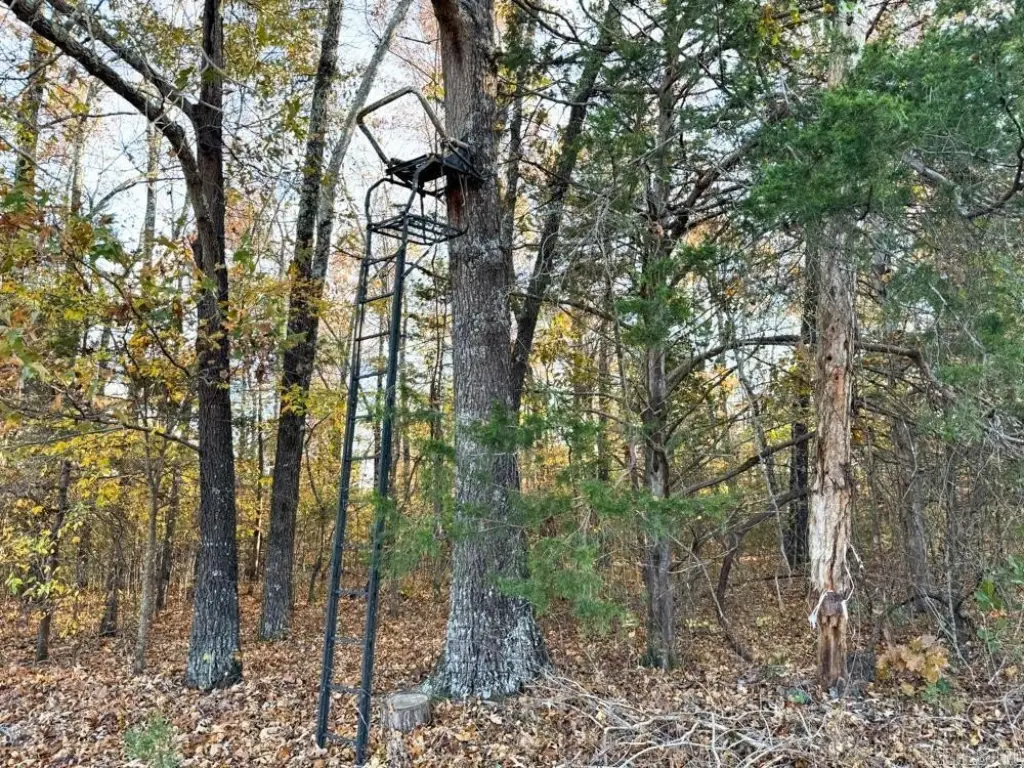 Picture 47