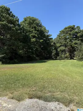Flat Commercial Lot