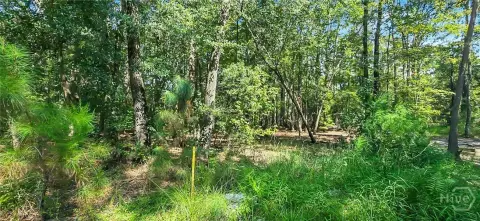 9.16 Acres Wooded Land Parcel