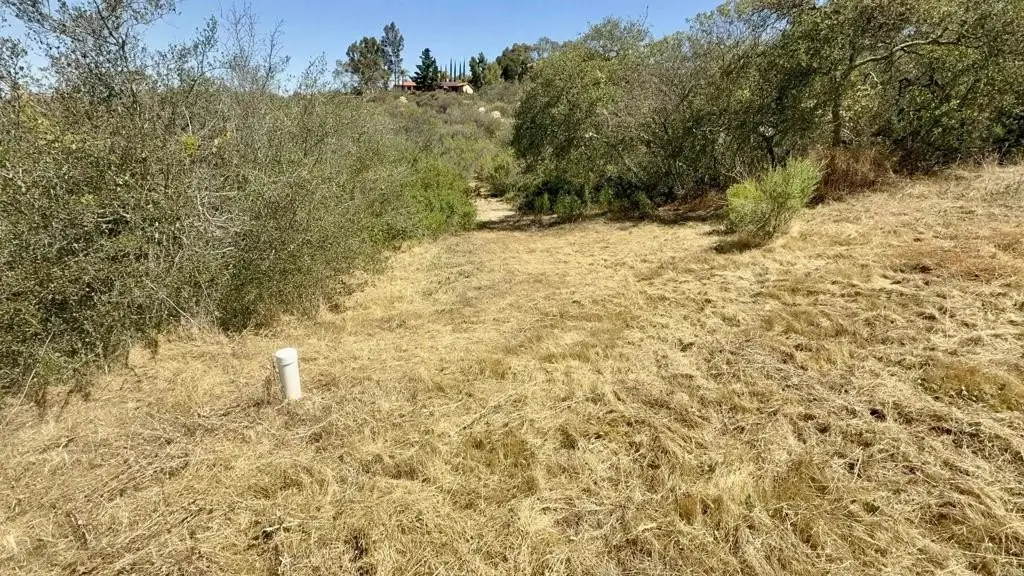 Picture 32