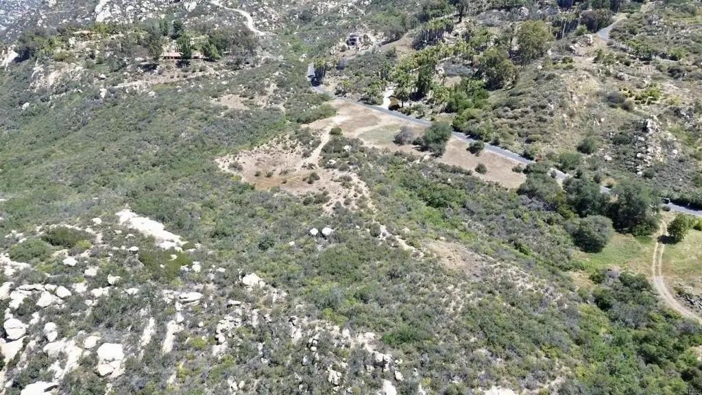 Picture 14