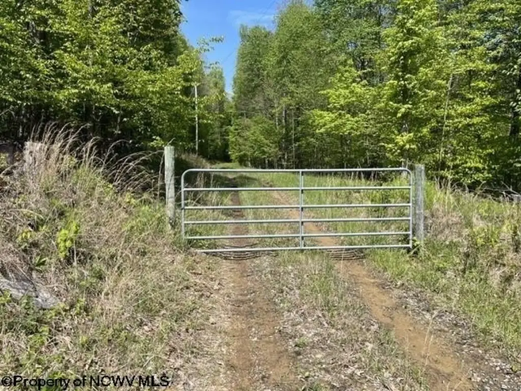 Picture 47