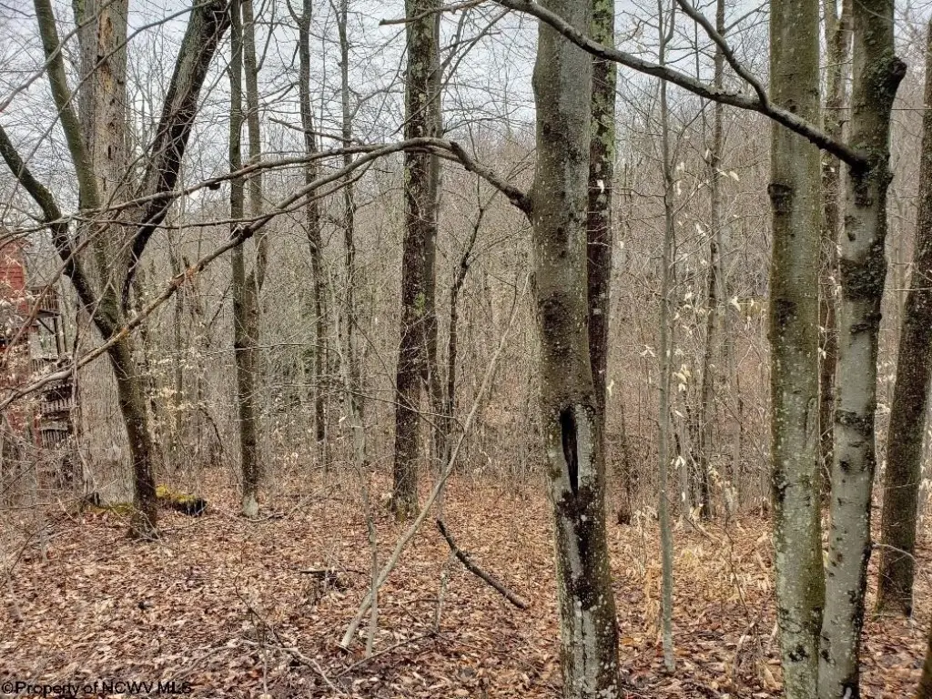 Picture 9
