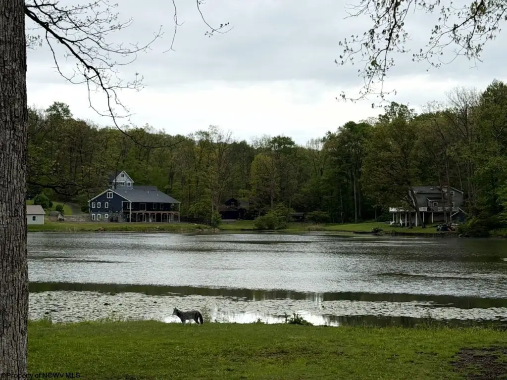 Picture 16