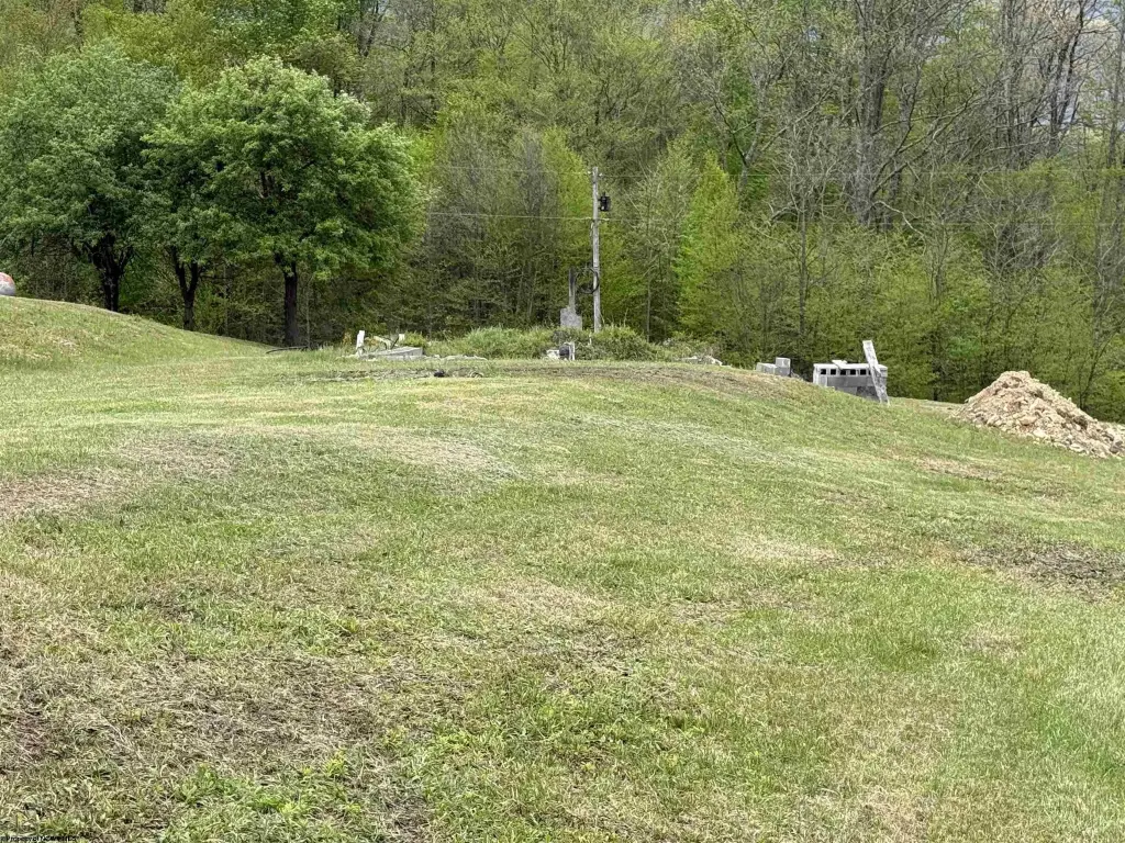 Picture 13