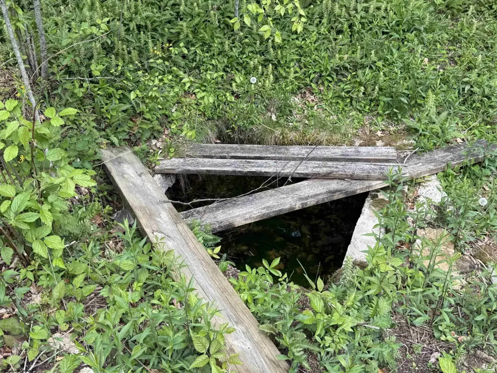 Picture 11